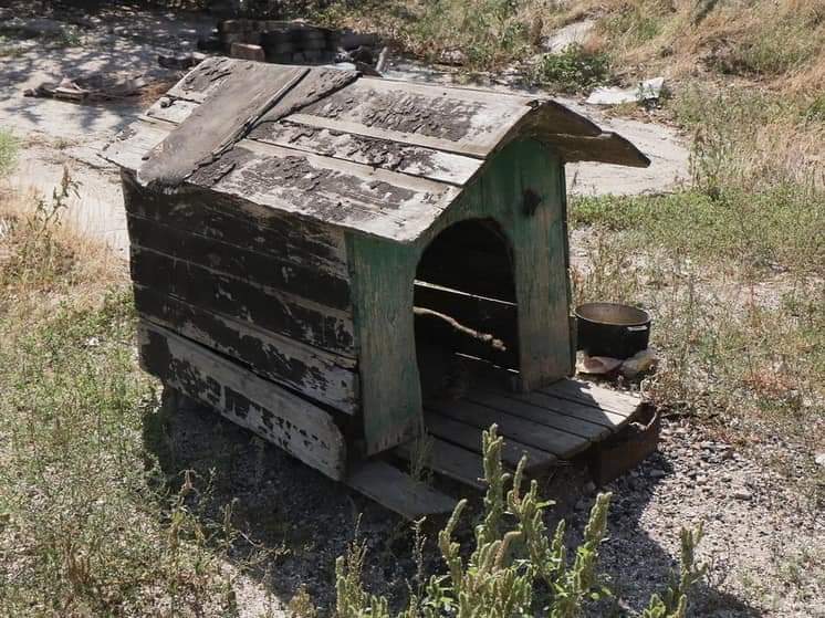 volkova__v's tweet image. Продам дом для квадробера. Не дорого. Возможна ипотека.