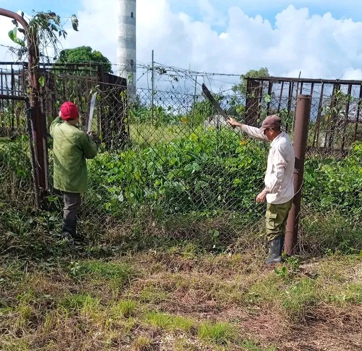 Cambio de labor en la EAA Enrique Varona, todos con machete, limpieza de de áreas verdes y zanjas. 
Al terminar los de Seguridad y Protección, le dimos una limpiadita al cercado perimetral del central.
#Chambas #SinPerderUnDía, #CiegodeAvila