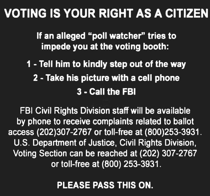A group of mega rich Republicans, calling themselves Ziklag, are funding a voter intimidation drive. The goal is to challenge 1 million votes in 7 swing states.

Do not be intimidated! Voting is your right.

#YesWeKam #DemVoice1 #wtpBLUE

It’s sad that 1 person might need this…