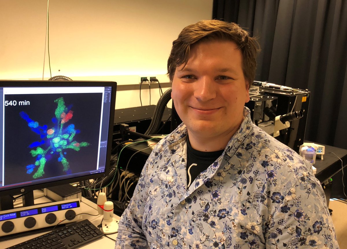 Colinda Scheele (@colindascheele) on Twitter photo We are so proud of <a href="/Macl_I/">Marcel Issler</a> who secured an <a href="/FWOVlaanderen/">FWO</a> PhD Fellowship today! 👏👏Looking forward to explore the mechanics of branching in the coming years! 🔬 <a href="/vib_ccb/">CCB_VIB_KUL</a> <a href="/Onco_KULeuven/">Department of Oncology - KU Leuven</a> We are so proud of <a href="/Macl_I/">Marcel Issler</a> who secured an <a href="/FWOVlaanderen/">FWO</a> PhD Fellowship today! 👏👏Looking forward to explore the mechanics of branching in the coming years! 🔬 <a href="/vib_ccb/">CCB_VIB_KUL</a> <a href="/Onco_KULeuven/">Department of Oncology - KU Leuven</a>