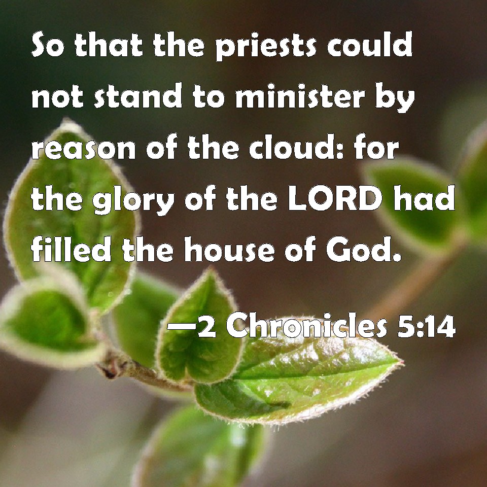 SonnySemme's tweet image. #kernelofwheat #earthenvessels #livingsacrifice #loveofthetruth #words #spirit #life #persecuted #rejected #reviled #hated #killed #Thanksgiving #rejoicealways #theLoveofGod #Name  #Dominion