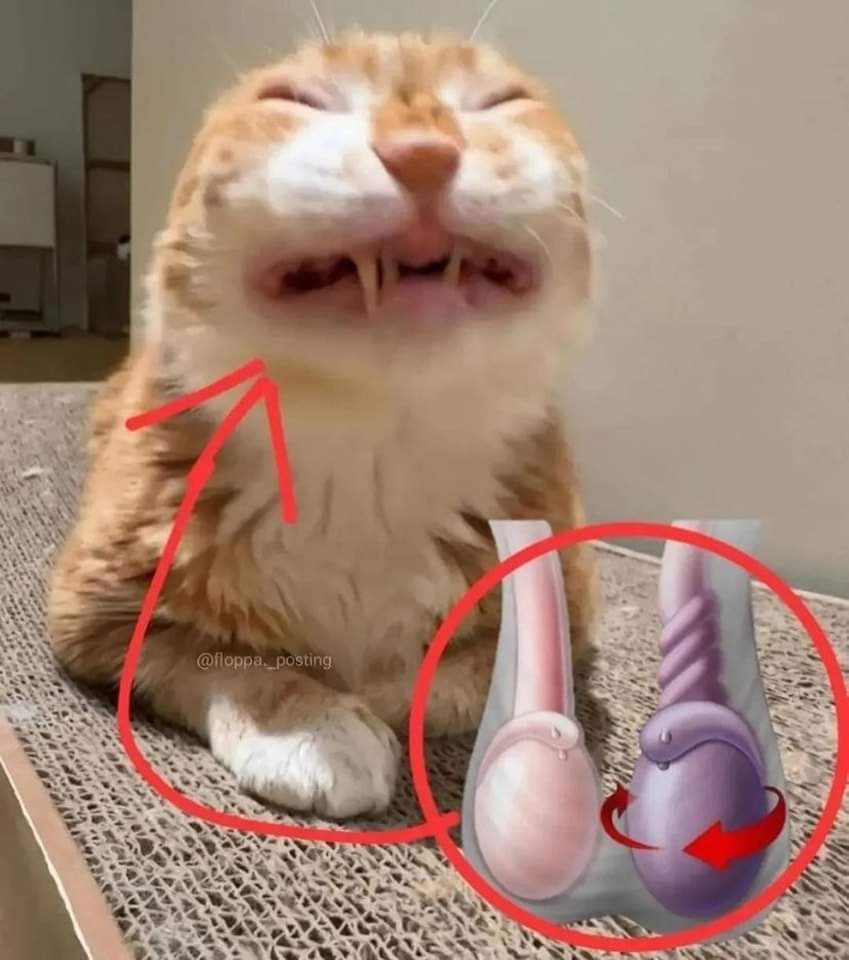 Baked~Bean~Eater💛🤍💜🖤 tweet media