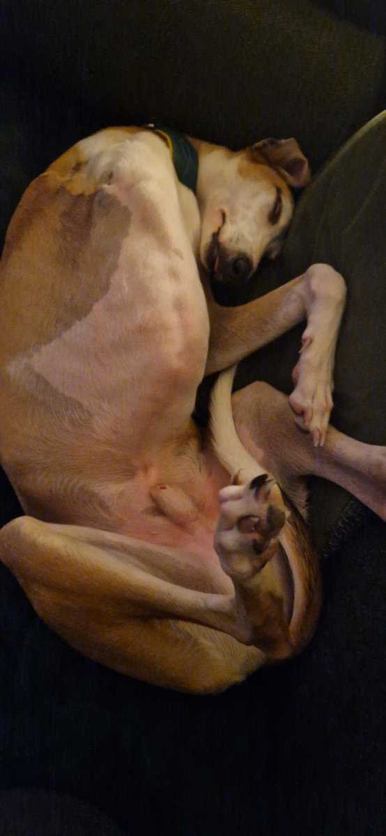 LNBDublin's tweet image. #Demure