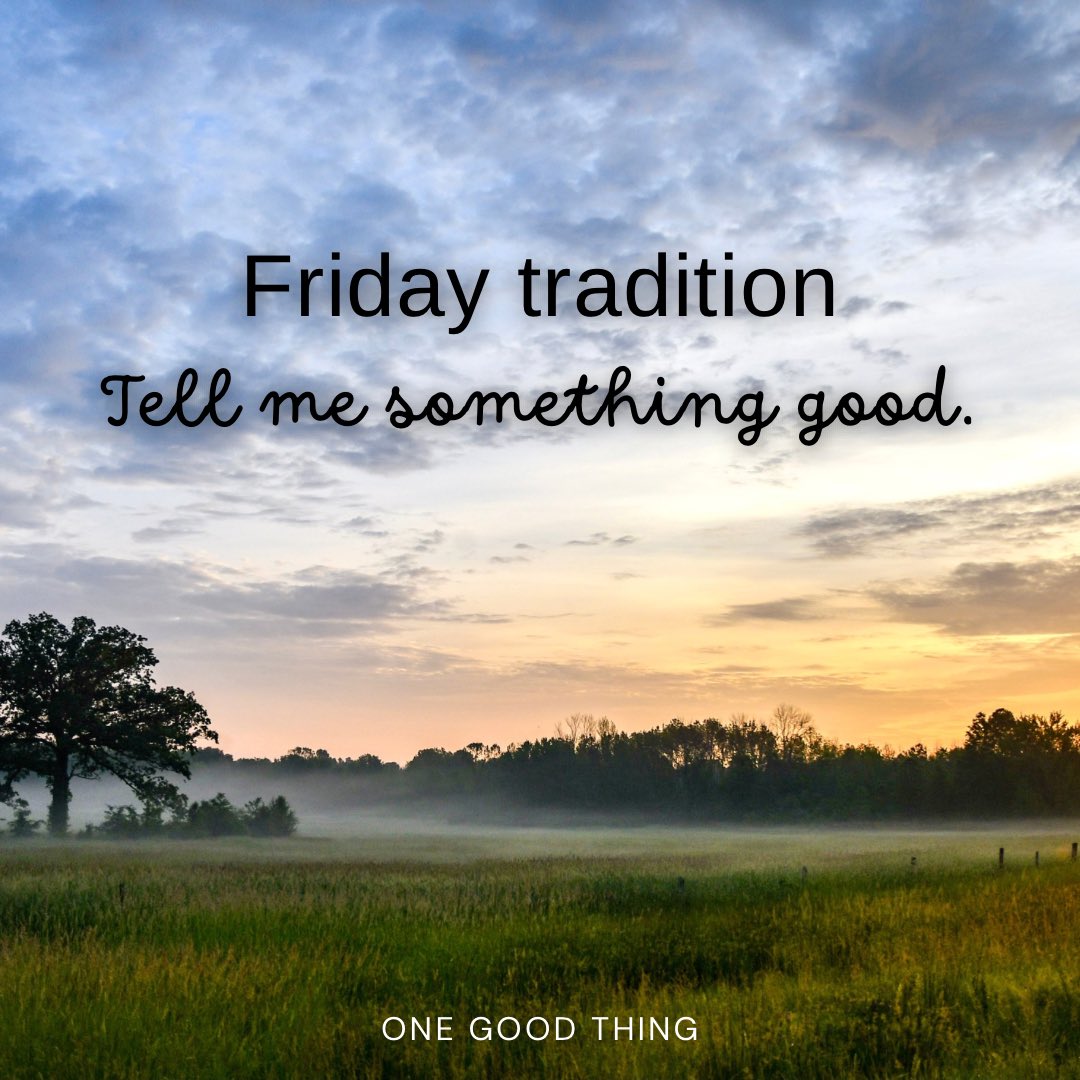 The Hoarse Whisperer tweet media