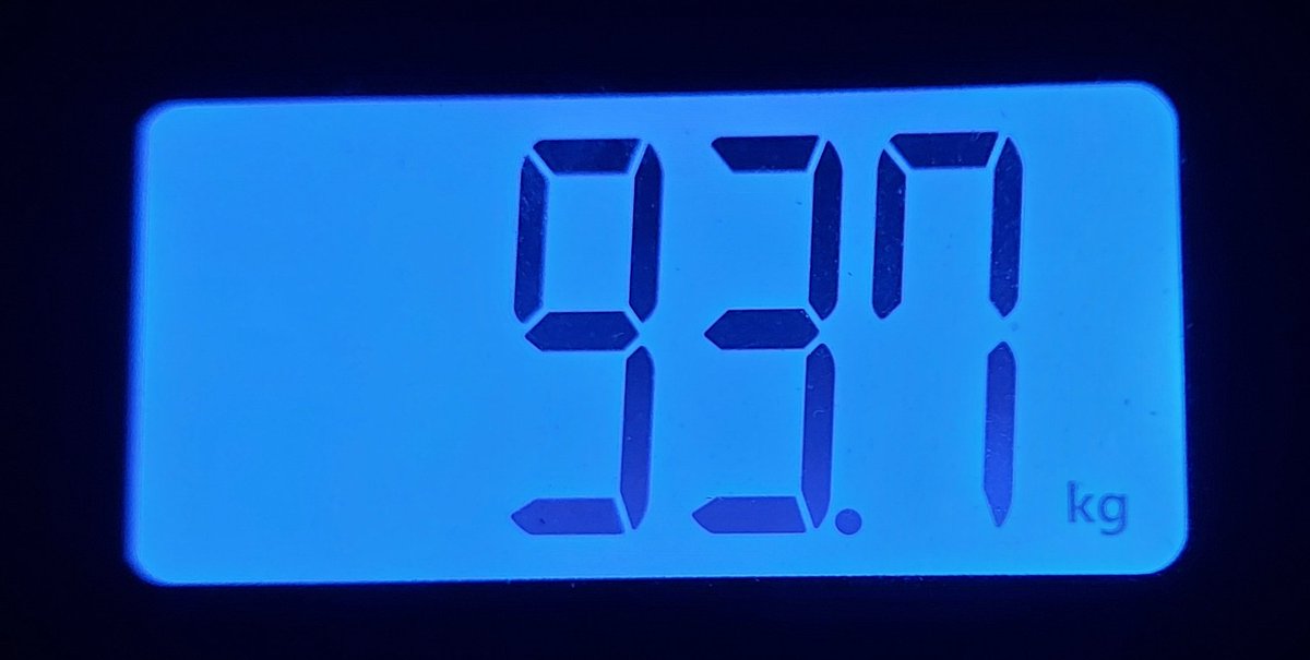 Reached my lowest weight (93.7 kg/206 lbs) since at least February 2023. For me it is even more mind blowing as I purposefully reached 105 kg/230 lbs around March this year during a bulking phase.

Aiming for almost 90 kg/200 lbs before the end of the month