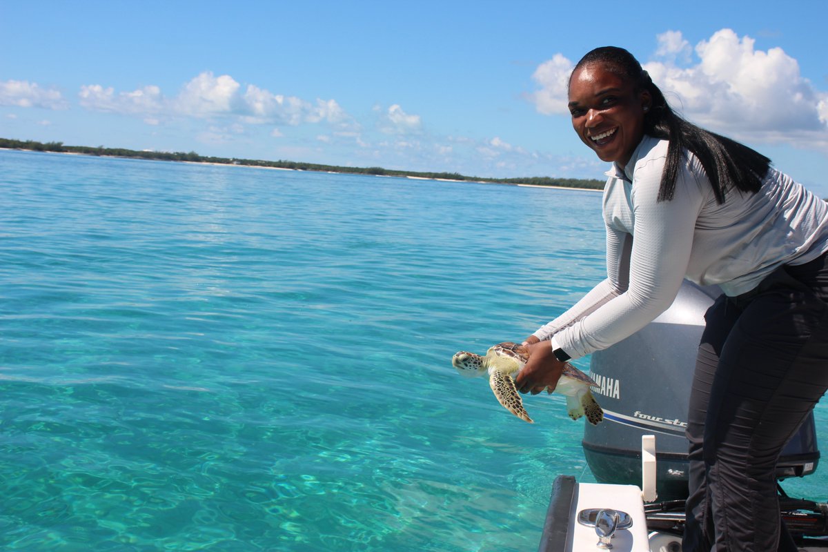 AtlantisLocal's tweet photo. On July 19, Atlantis Paradise Island heeded a call of action to assist an injured green sea turtle that was found near Abaco, Bahamas. https://t.co/poFScu3ITp
