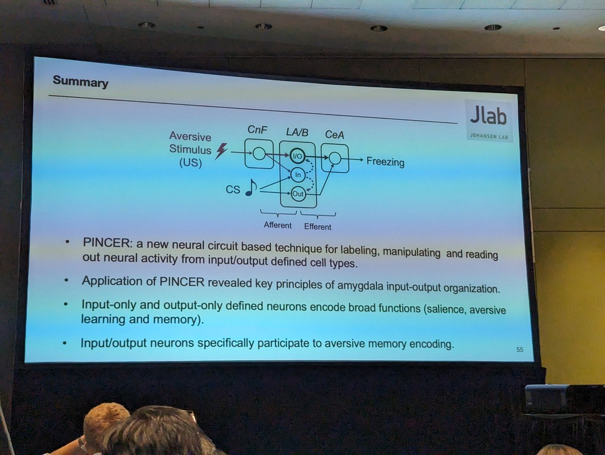 MCCStweets's tweet image. Integrative investigation of salience processing in fear learning by @YKNeuroRes in @JoJoLab5 lab at @RIKEN_CBS @riken_en
#MCCS24