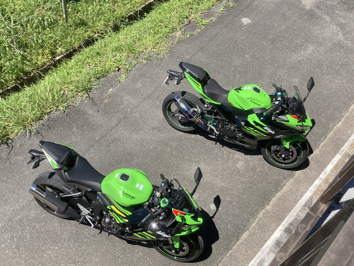 グリーン様•*¨*•.¸♬︎ 配色ドルマンコクーンシルエットゆるニット＜大きいサイズ有＞ 通販