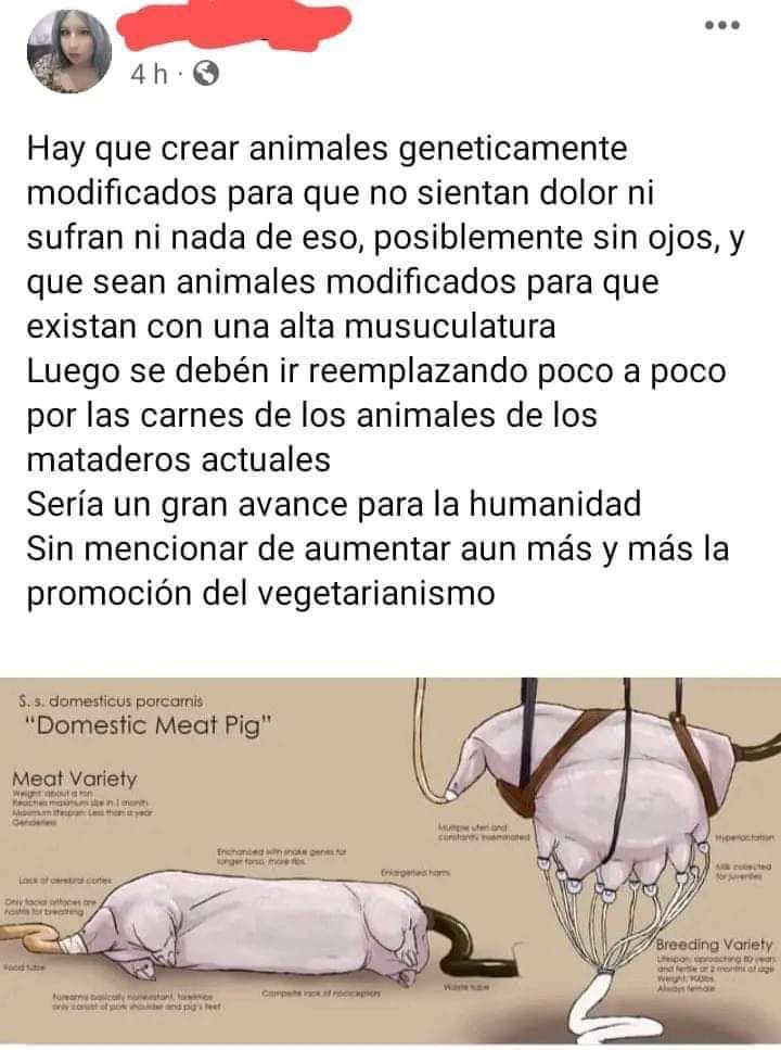 Mega atún tweet media