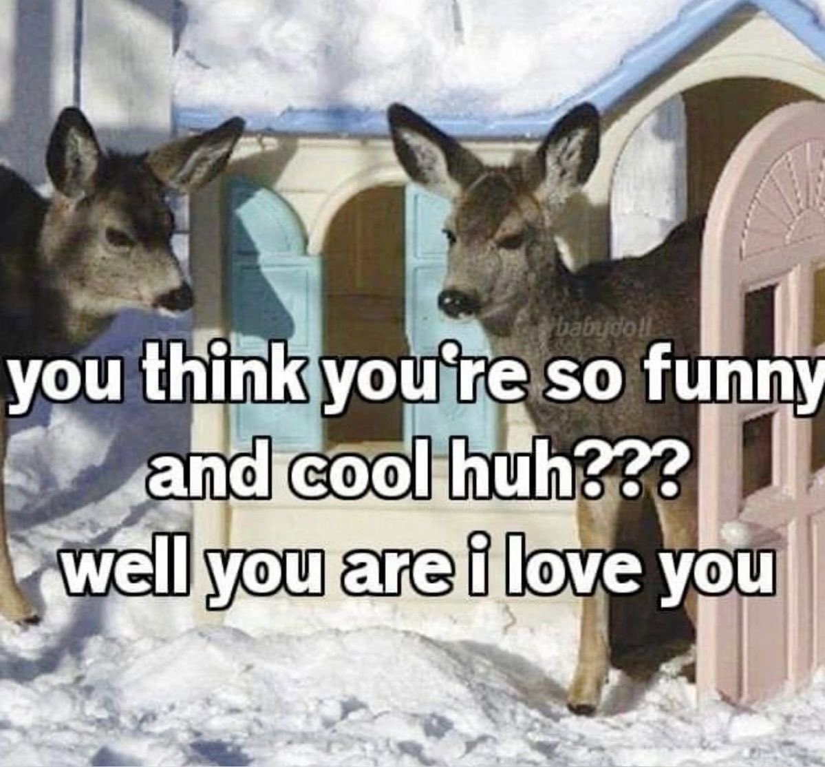 whotfisjovana's tweet image. ㅤ