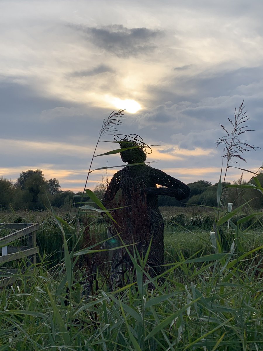Angharad (@angnatur) on Twitter photo Early afternoon and early evening visitis to <a href="/GwentWildlife/">Gwent Wildlife Trust</a> Magor Marsh/Cors Magwyr.
Chiffchaff, kingfisher, sparrowhawk, little grebe, little egret (roost), gadwall, water rail, stonechat, Cetti’s warbler, swallow and calling robins & wrens. It’s been a good day 🍁🍂
04.10.24 Early afternoon and early evening visitis to <a href="/GwentWildlife/">Gwent Wildlife Trust</a> Magor Marsh/Cors Magwyr.
Chiffchaff, kingfisher, sparrowhawk, little grebe, little egret (roost), gadwall, water rail, stonechat, Cetti’s warbler, swallow and calling robins & wrens. It’s been a good day 🍁🍂
04.10.24