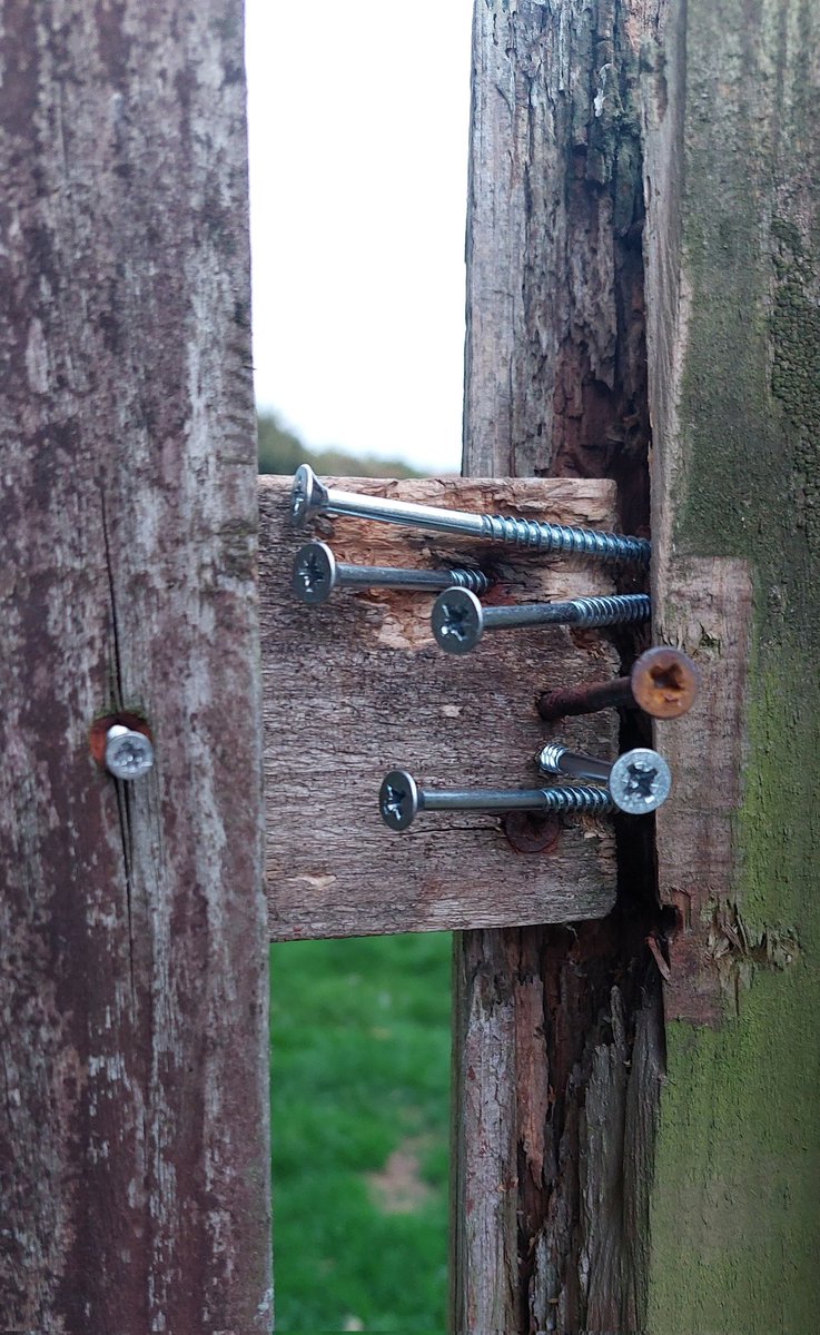 gilbertandgrim's tweet photo. Spent my day off work "fixing" the fence. https://t.co/iwLaLQZGHJ