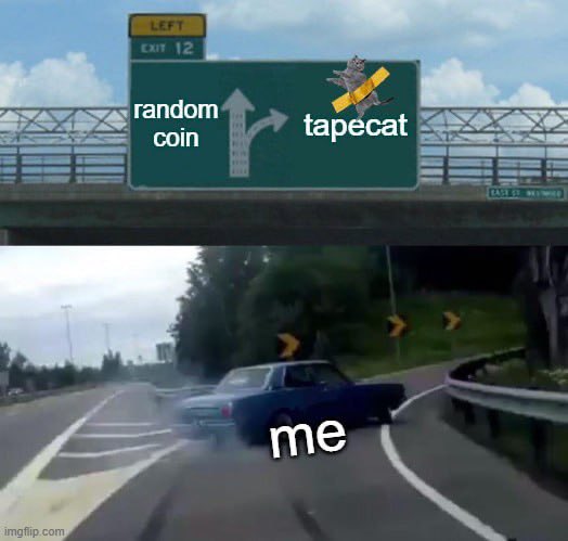tapecatsol's tweet photo. All Degens switching to $TCAT right now 

#TCAT #Tapecat #Sol #Solanameme https://t.co/ALq7AgPsPQ