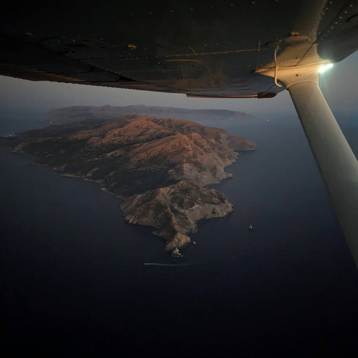 Timo Denk tweet media