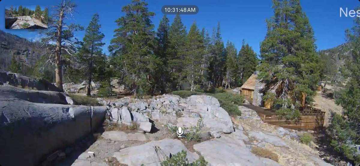 Echo Cam tweet media