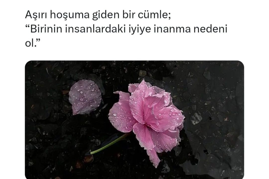 Sultan (@natlusaltas) on Twitter photo 