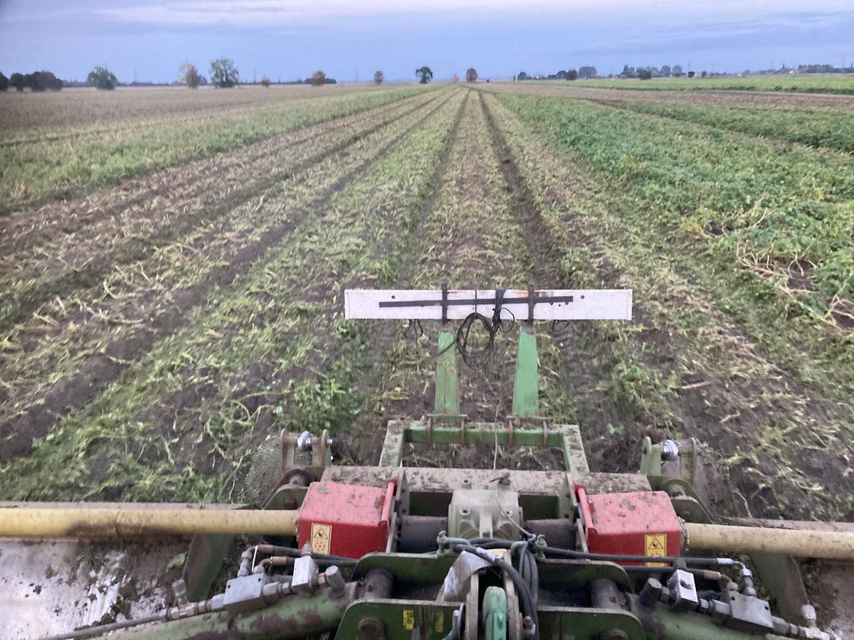 Sean Lumley tweet media