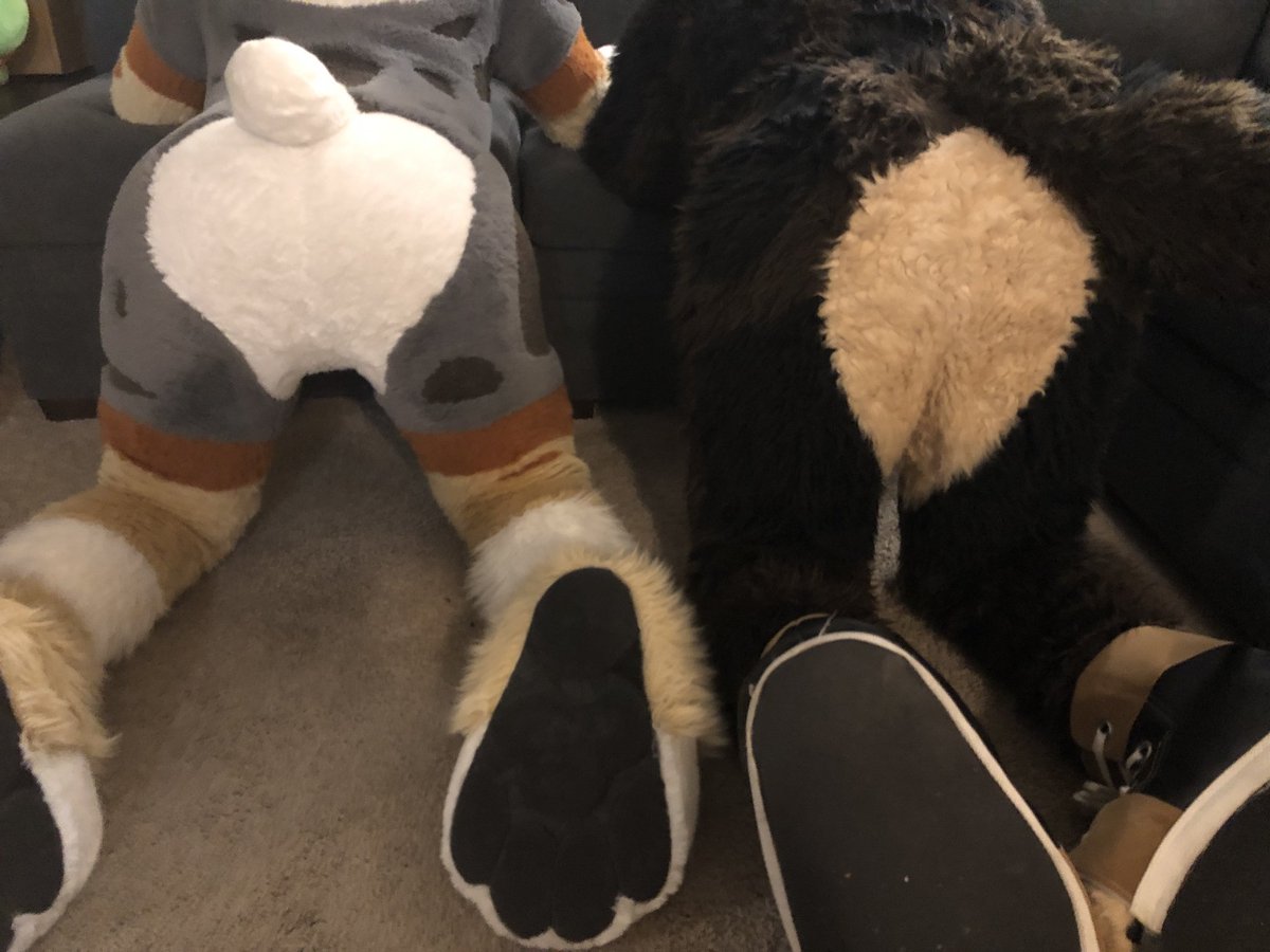 DoralLizard's tweet photo. Null boys understand that less is more~

#FursuitFriday 

📸 | @MainMandarin https://t.co/JHyyQQpM46