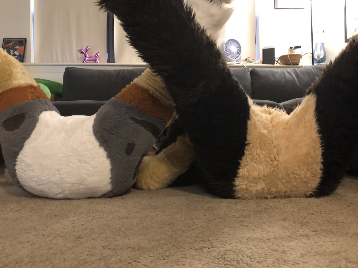 DoralLizard's tweet photo. Null boys understand that less is more~

#FursuitFriday 

📸 | @MainMandarin https://t.co/JHyyQQpM46