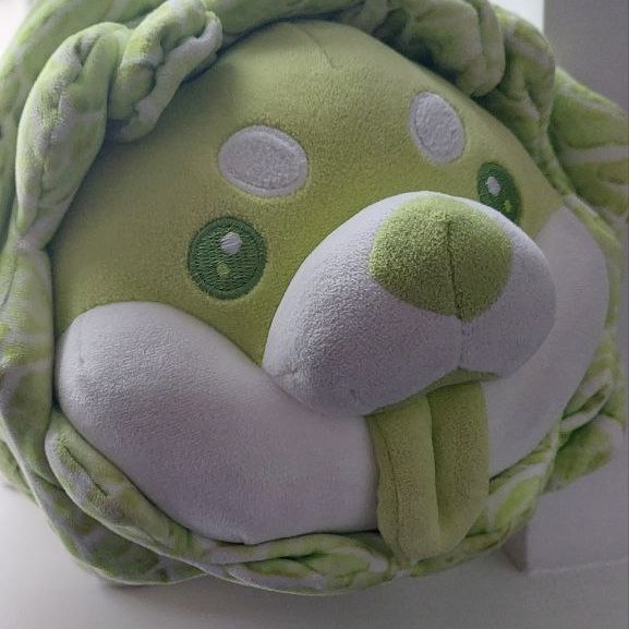 Gwyndolium's tweet photo. I can't believe I never introduced you all to Mr. Cabbage! 🥬👅 https://t.co/svnwseFKsI