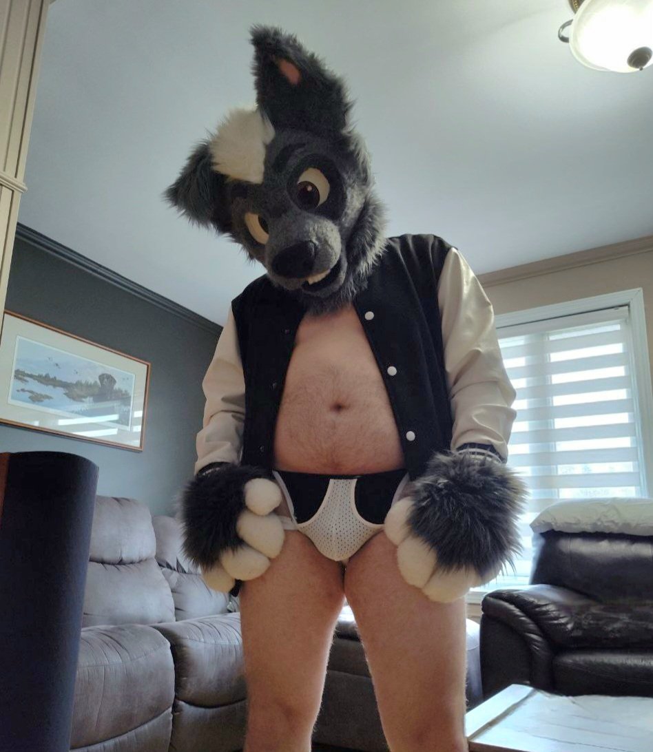 What u looking at ? 😏
#FursuitFriday 
#Jocktober 🩲🎃