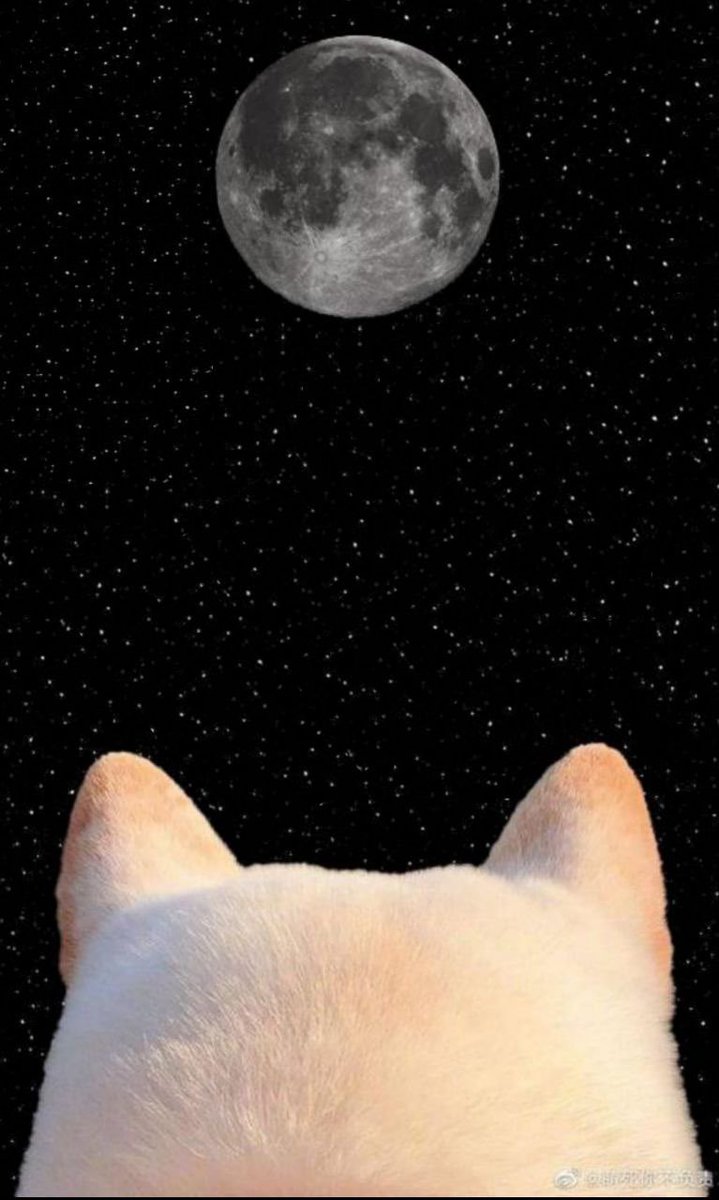 CamelCalls's tweet image. $POD is going on a mission 🚀