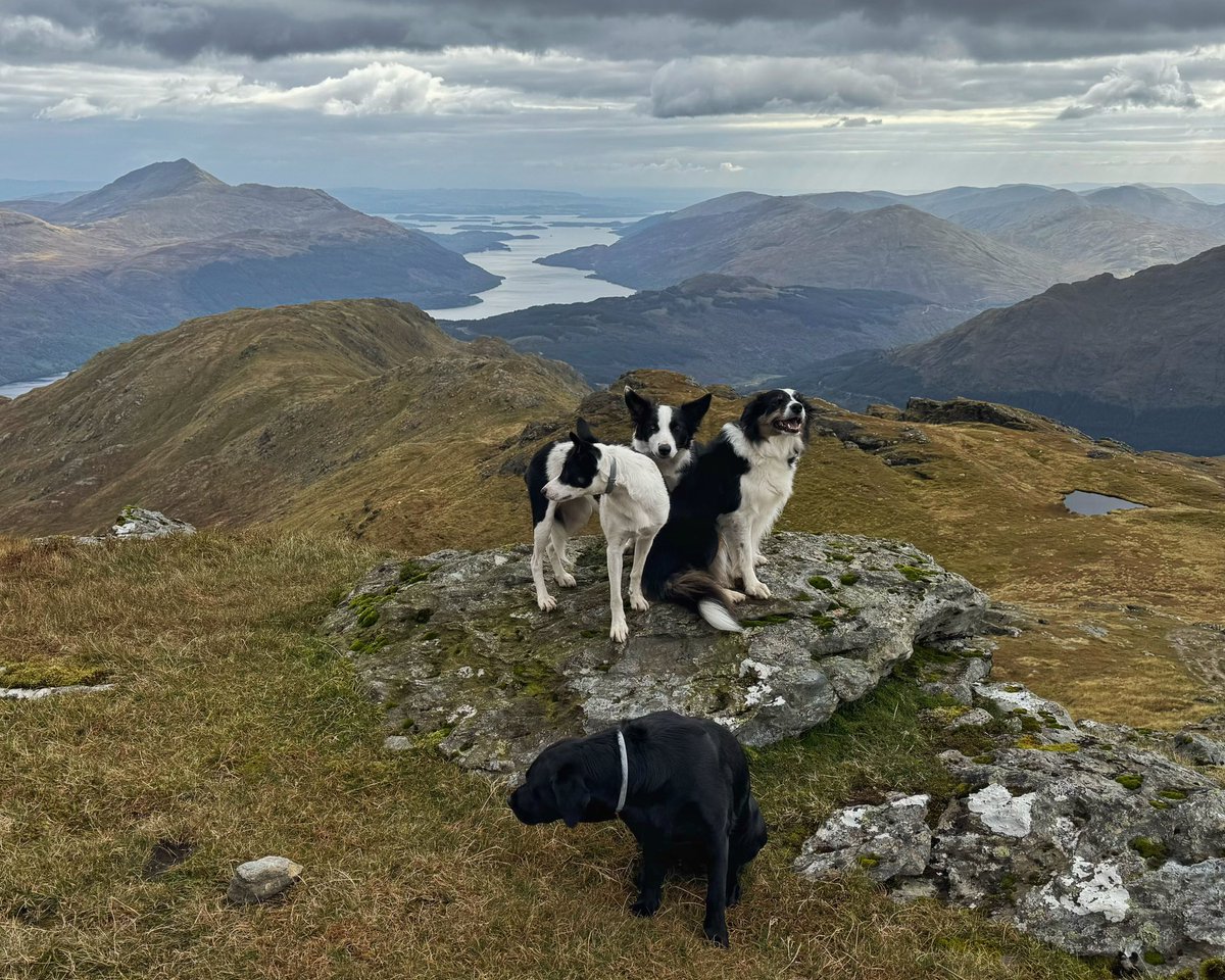 hopper68's tweet image. A wee visit back up Ben Vorlich , nice to revisit the hill where it all started #lochlomond