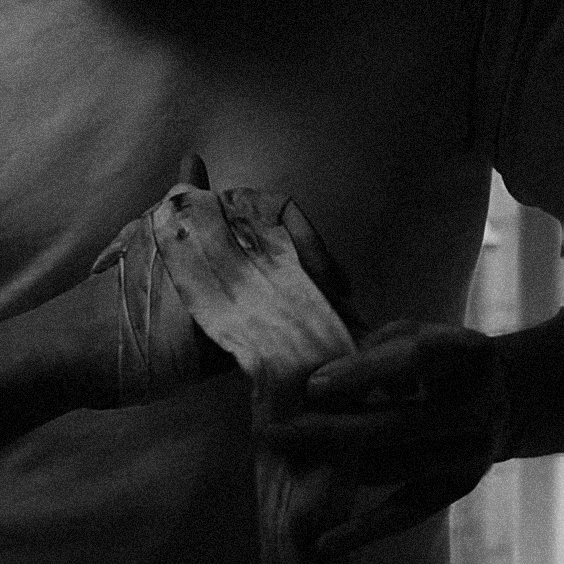 действенные методы в уставе не прописаны, а зря. жилось бы проще.