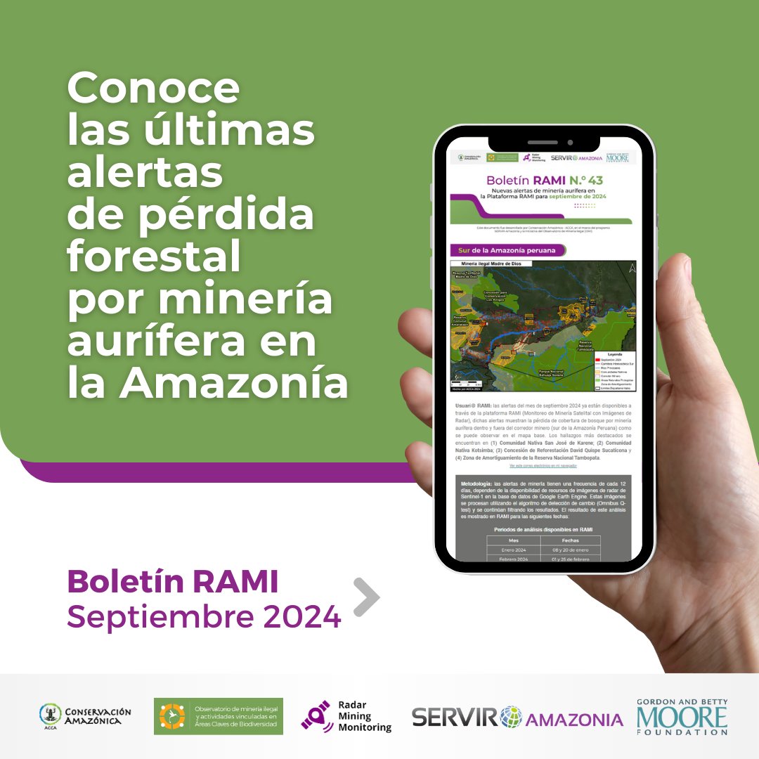 amazonacca's tweet photo. #BoletínRAMI 🛰️| ¡Las alertas de minería ilegal en la Amazonía para septiembre de 2024 ya están disponibles en la plataforma RAMI!

📍 Los hallazgos más destacados son la presencia de balsas mineras en el río Aguaytía, en la región Ucayali.

Más detalles: https://t.co/oJ5RNhqtJu https://t.co/eKj0aBmsI5