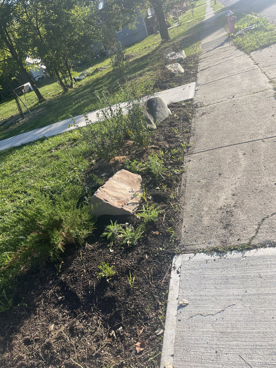 Kate Warren tweet media