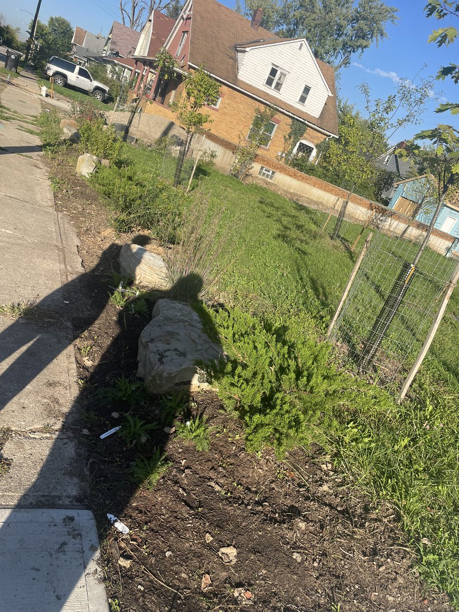 Kate Warren tweet media