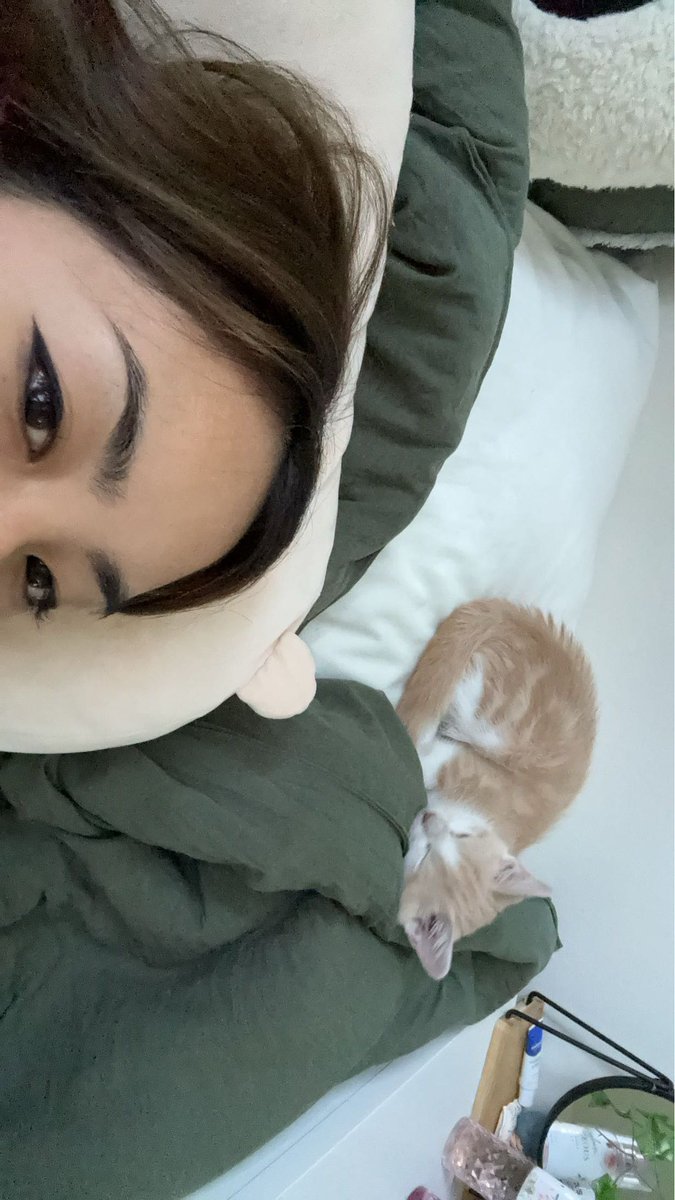 ari tweet media