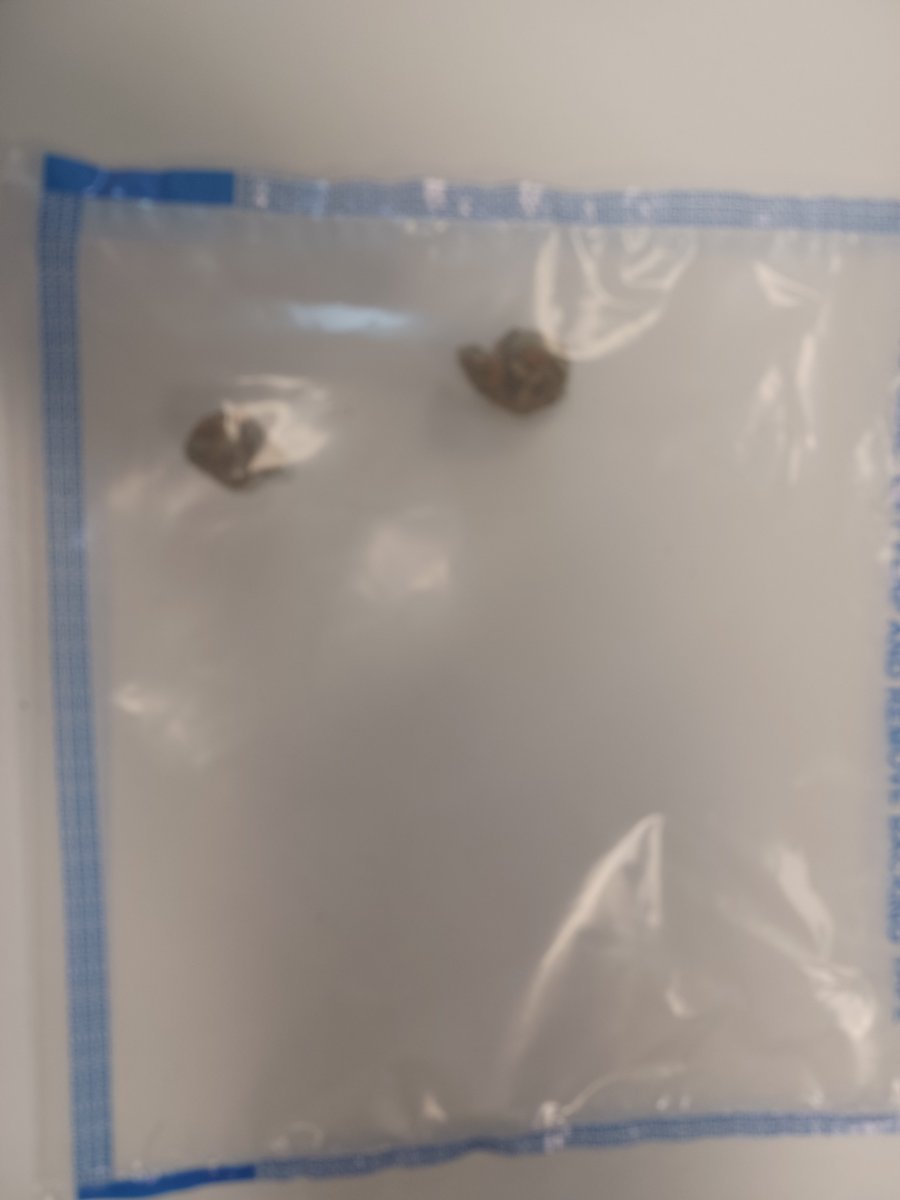 MPSHanworth's tweet image. Cannabis seized on Butts Farm by local officers.
#LocalPolice
#SaferNeighbourhoods