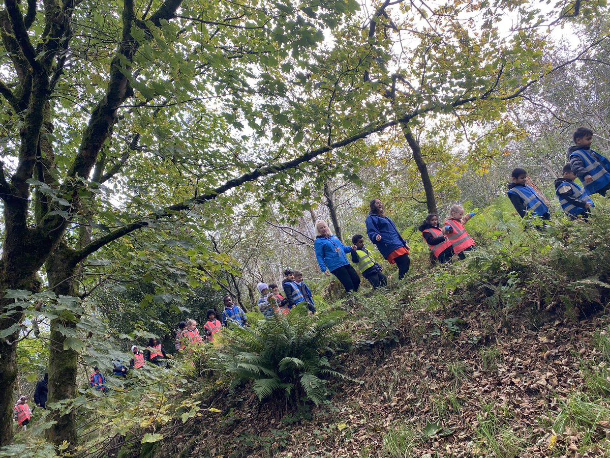 GaskellPrimary's tweet image. 1B went to Wilders woods to notice the seasonal changes and identify deicdious trees. We also identified the physical and human features @ExploreGaskell @GaskellScience