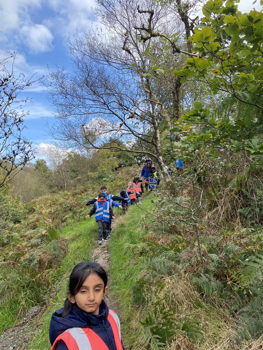 GaskellPrimary's tweet image. 1B went to Wilders woods to notice the seasonal changes and identify deicdious trees. We also identified the physical and human features @ExploreGaskell @GaskellScience