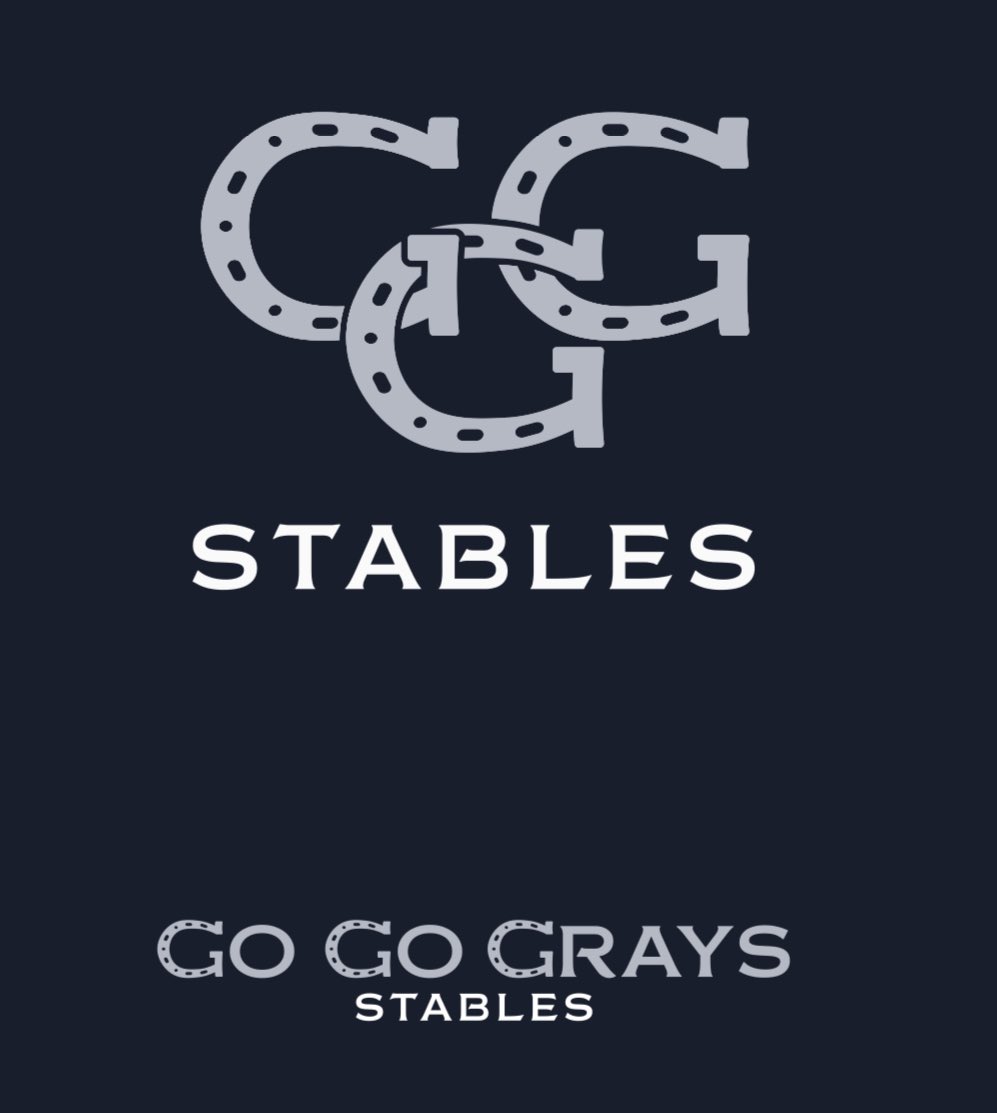 stoolpresidente's tweet image. Checks notes. I was paid 0 dollars.  I will accept payment in grey horses to add to my stable.  The Go Go Greys.