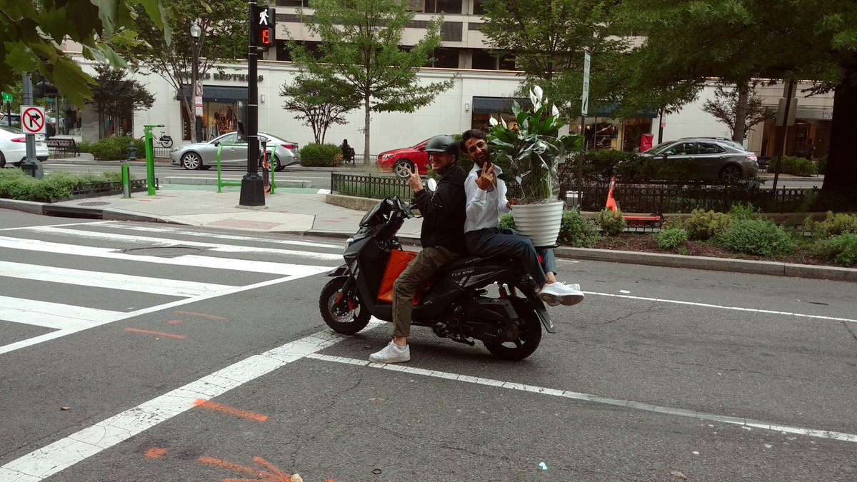 Wm_McKenna's tweet image. Did you order flowers?

#SpecialDelivery