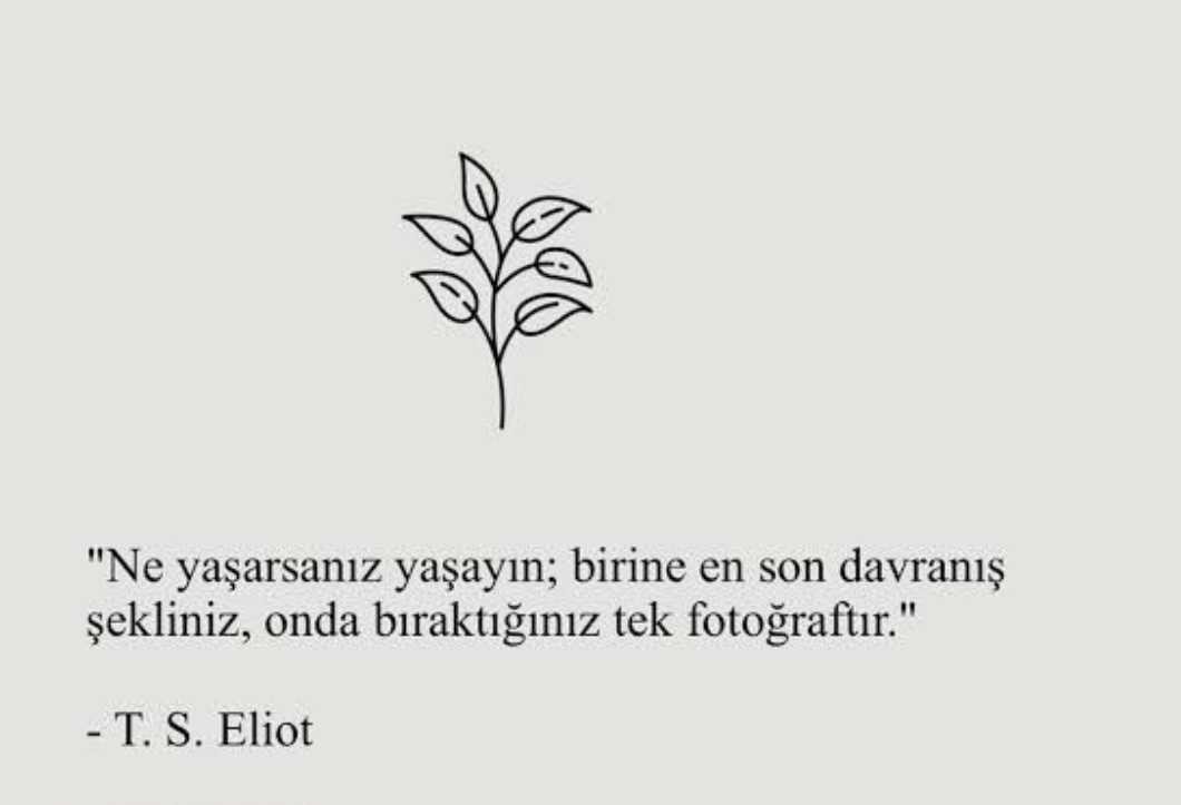 Şazen Çeliker (@sazenceliker) on Twitter photo 