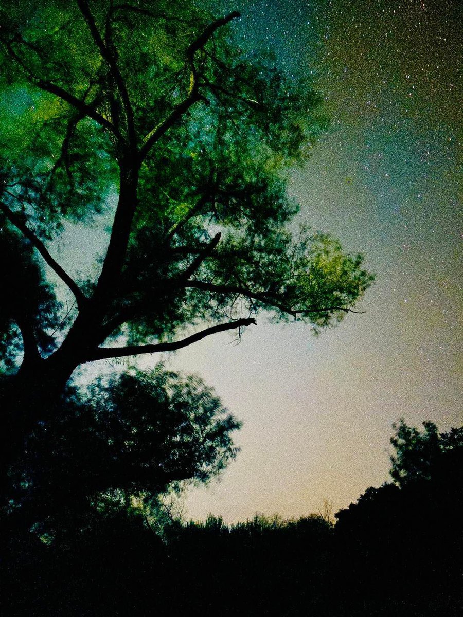 Te invitamos el 19 de octubre a vivir una experiencia en #BustamantePuebloMágico Expertos en astrofísica, nos llevarán en un viaje por el cosmos. El #CometaAtlas nos dará la bienvenida, conferencias y observación con telescopios.

Reserva tu lugar ☄️ 🪐 💫
WhatsApp 8180884336 ✅