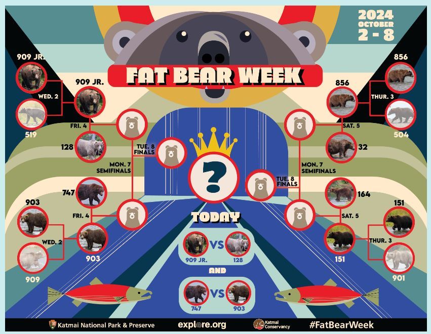 Jenna Mercury ➡️ Bluesky! @science4UsSays (@science4ussays) on Twitter photo Have y'all seen this?! via <a href="/exploreorg/">explore.org</a>
😍 LOVE LOVE LOVE! Voting starts at 12pm EST!☑️
Fat Bear Week in the Classroom - Katmai National Park & Preserve (U.S. National Park Service) #fatbearweek #FridayFinds #FridayFeeling bit.ly/3Y6D8TL Have y'all seen this?! via <a href="/exploreorg/">explore.org</a>
😍 LOVE LOVE LOVE! Voting starts at 12pm EST!☑️
Fat Bear Week in the Classroom - Katmai National Park & Preserve (U.S. National Park Service) #fatbearweek #FridayFinds #FridayFeeling bit.ly/3Y6D8TL