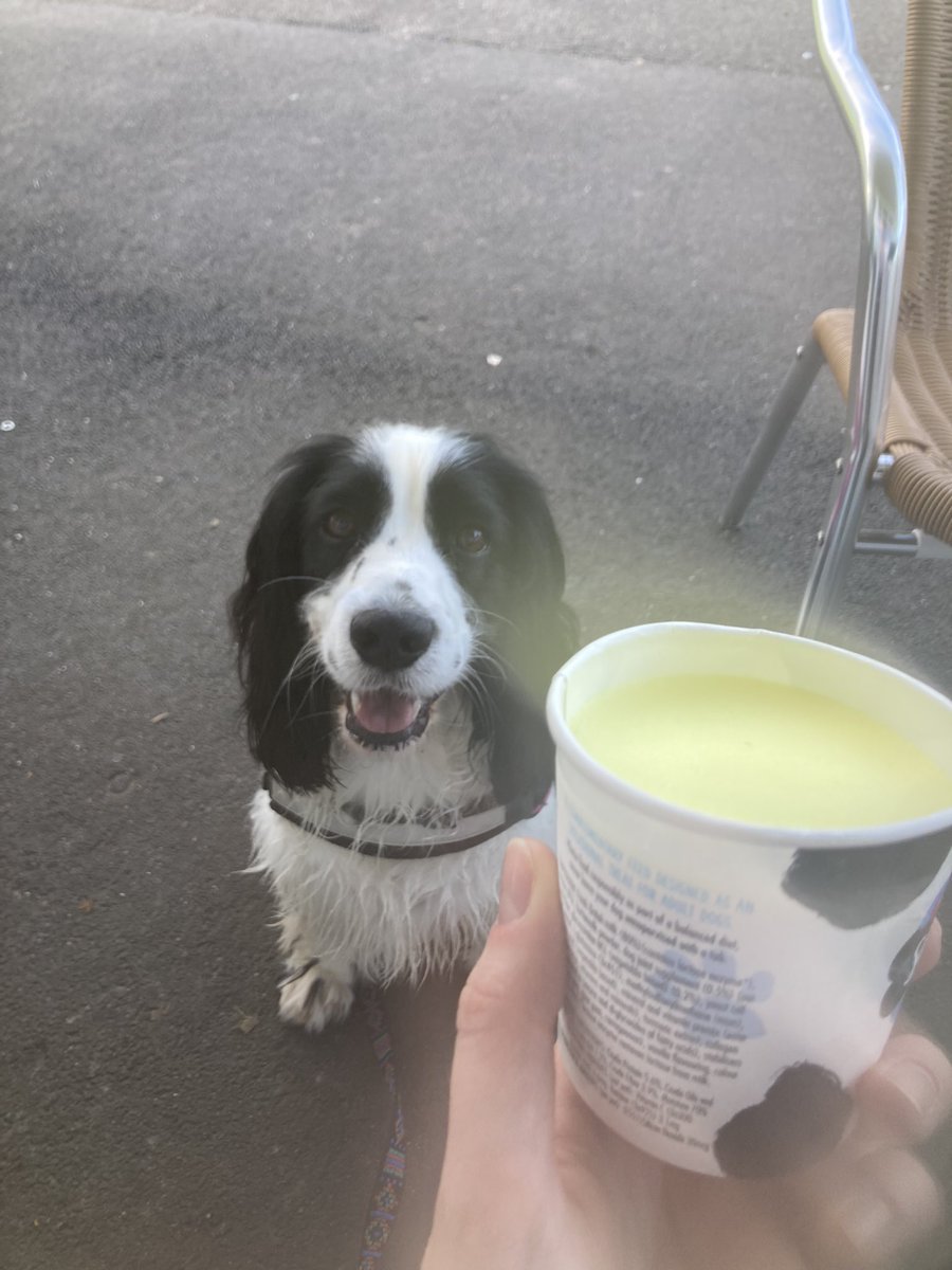 Fridays are for ice creams 🥰