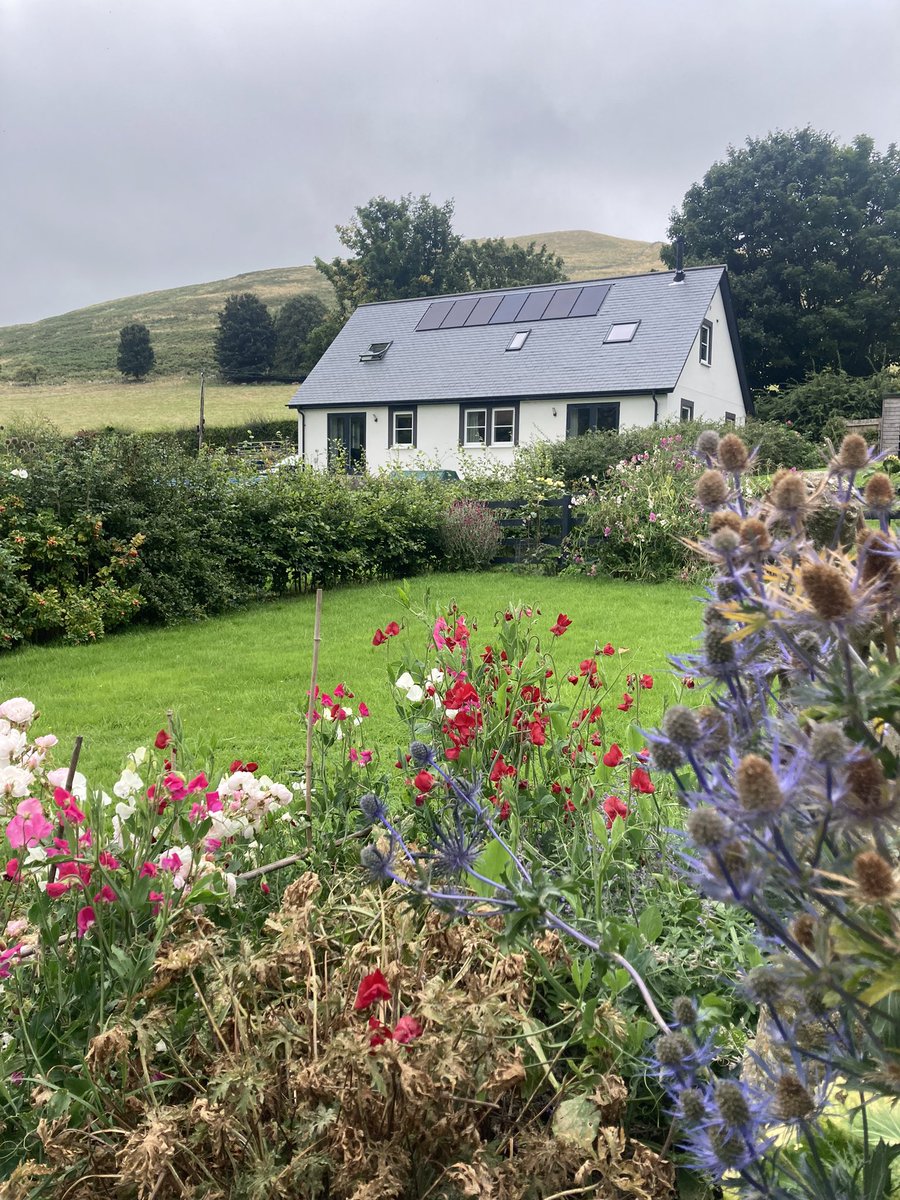 KalewaterWriter's tweet photo. Autumn at #KalewaterCottage : there are still plenty of flowers in bloom, fruit is growing in the orchard, and guests can enjoy the wood burning stove without being disappointed at the cold Scottish summer. In short: The best time for a writing retreat. Get in touch to book! https://t.co/PuHDNrQsSg