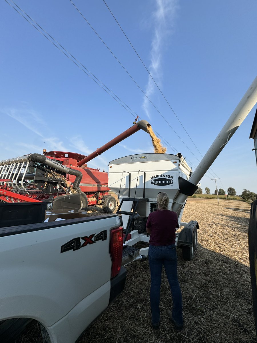 KaitlandVSpek's tweet photo. Soybean yields coming off strong!! 🫘 🌱 #CroplanFriday #WinPak #Croplan https://t.co/ftbTmY0611