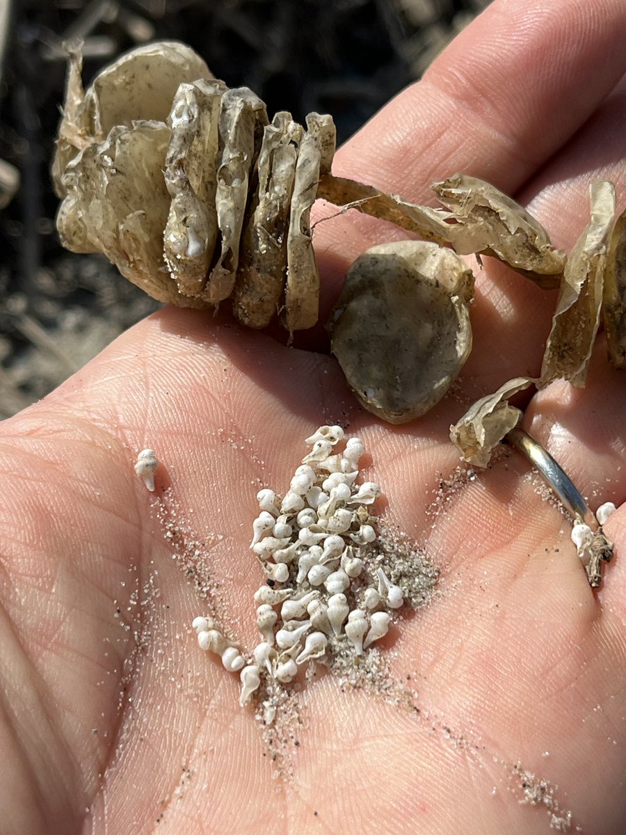 Jason Williams tweet media