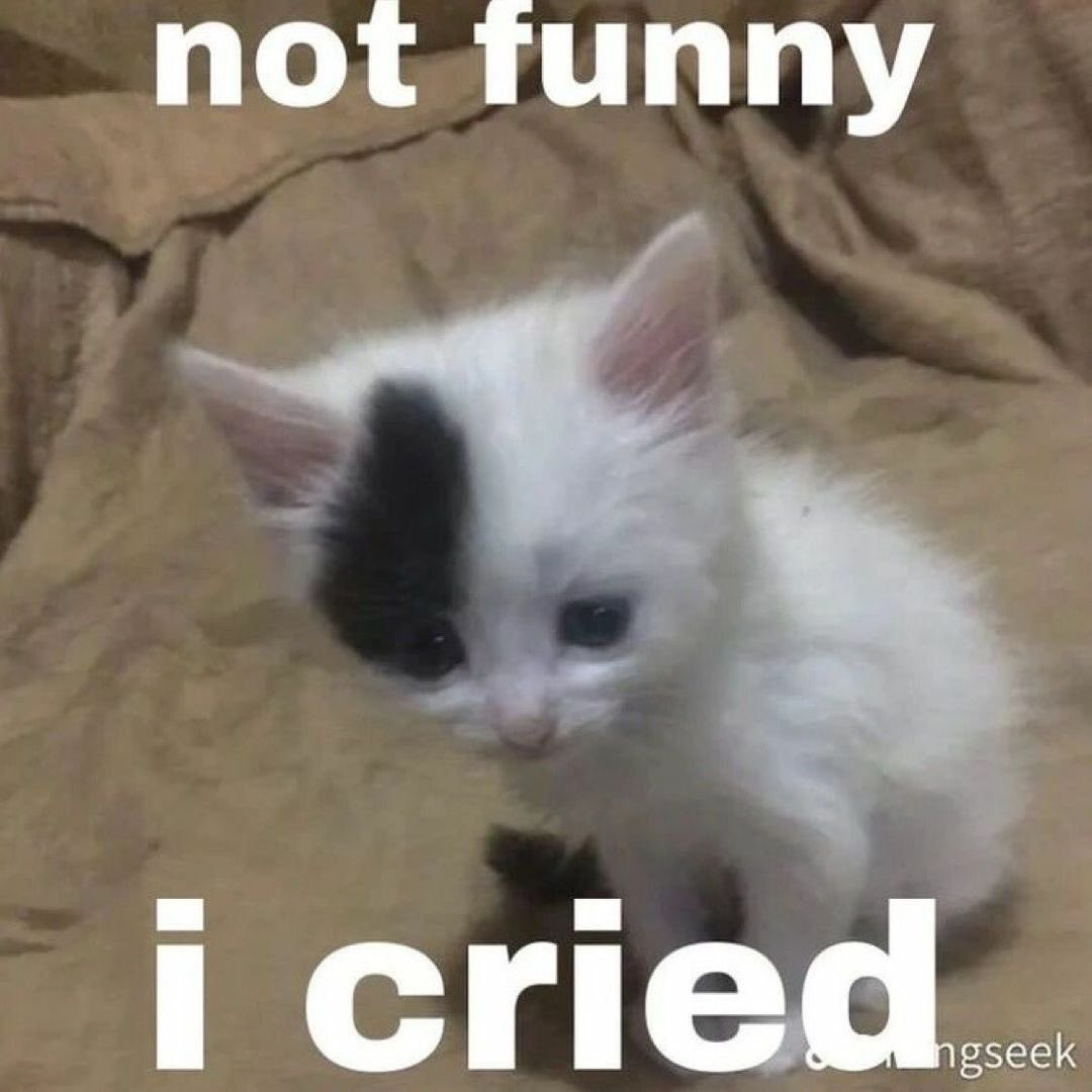 em0gen's tweet photo. Thought I got banned for a second there and had a small Heartbreak 

#Characterai https://t.co/GZ5aXjzqHg