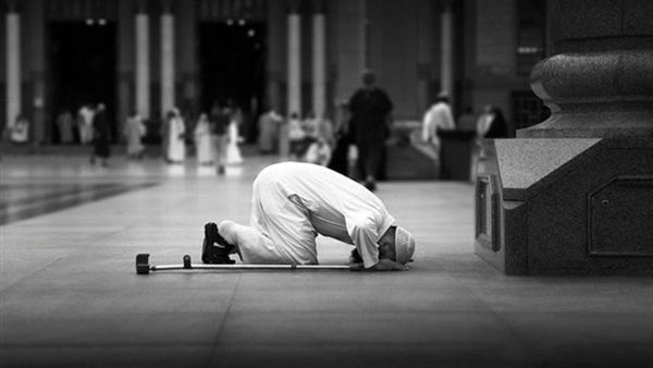 محمد الغدير الاسلمي tweet media
