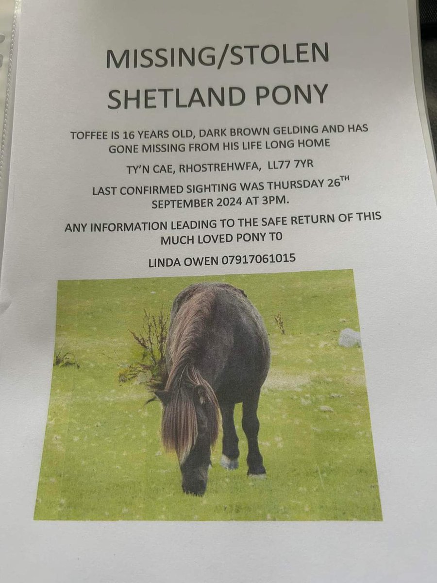 MissingPetsGB's tweet image. 🐎 16 year old shetland pony TOFFEE disappeared from his life long home on 27 Sept 2024 in Ty'n-cae #Rhostrehwfa #Wales #LL76
His field was secure &amp;amp; the gates padlocked &amp;amp; secure. The electric fence was as owner left it. There were other ponies in the field who are still there😔