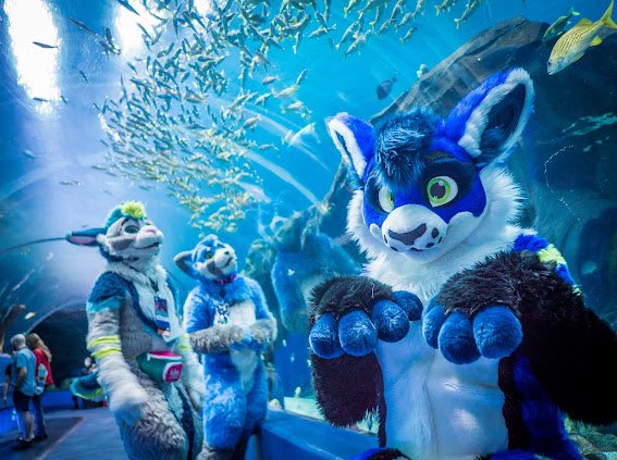 This #FursuitFriday we'll be your guides down the aquarium tunnel =3

📸- <a href="/AtheoFreak/">𝔸̶𝕥𝕙𝕖𝕠 - On hiatus</a>
