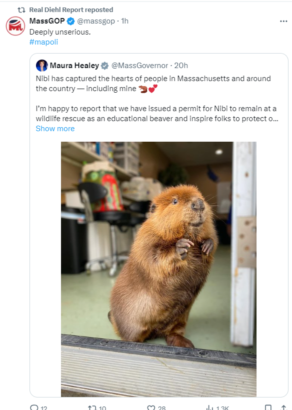 Somehow, the Mass GOP has been baited into opposing cute, cuddly animals. #mapoli