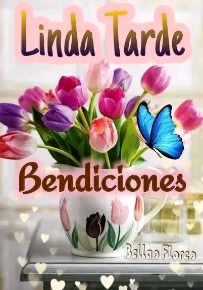 Imagen